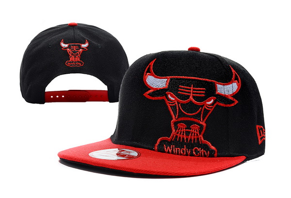 NBA Chicago Bulls Hat id101